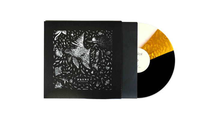 Gold + Salt + Charcoal Vinyl