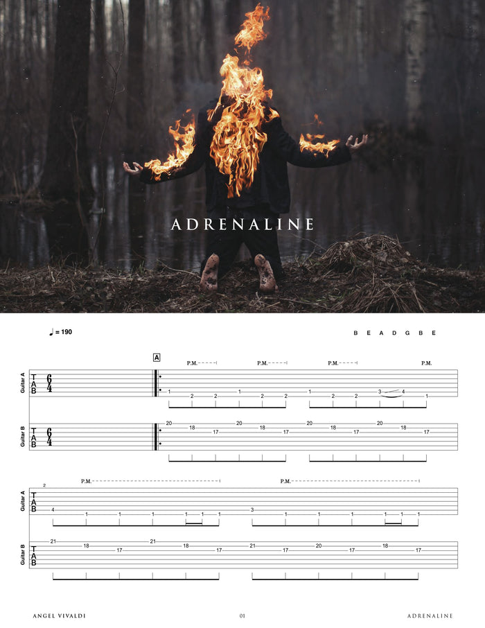 Printed Guitar Book, Digital Guitar Book