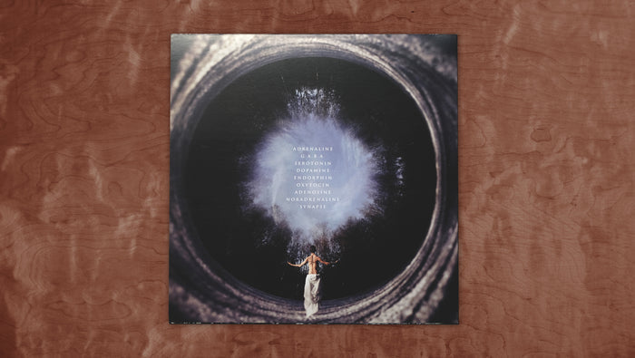 Standalone LP, Deluxe Vinyl Bundle