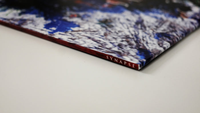 Standalone LP, Deluxe Vinyl Bundle