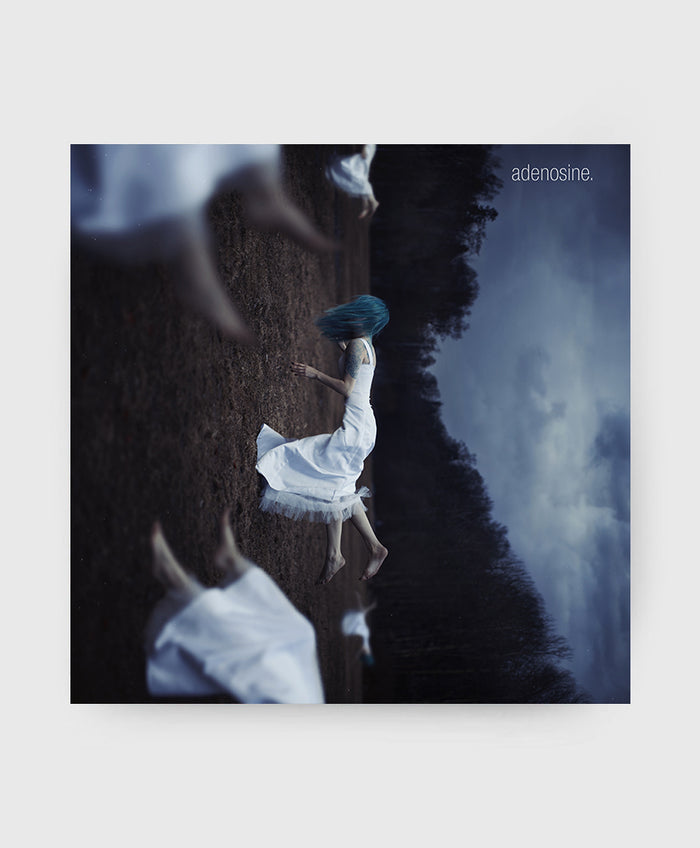 Deluxe Vinyl Bundle