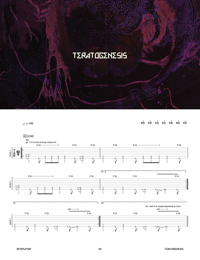 Printed Guitar Book, Digital Guitar Book
