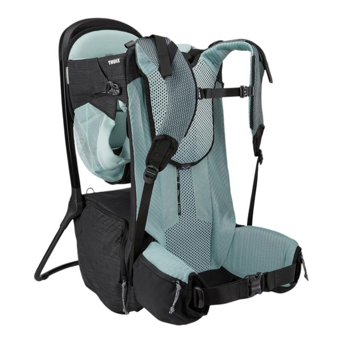 Thule Sapling Child Carrier