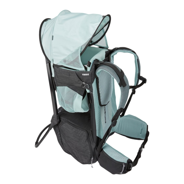 Thule Sapling Child Carrier