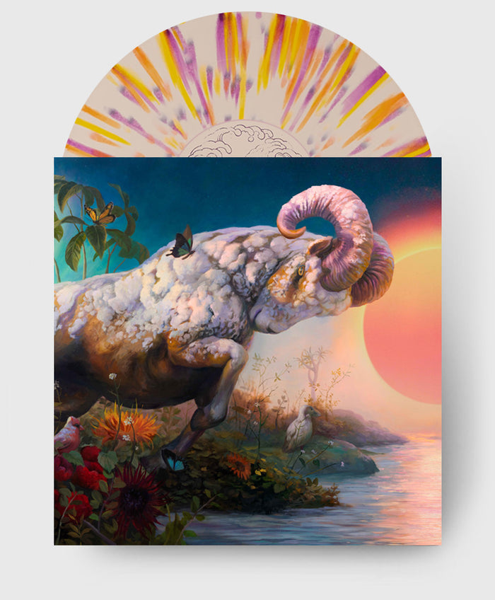 Butterfly Burst LP
