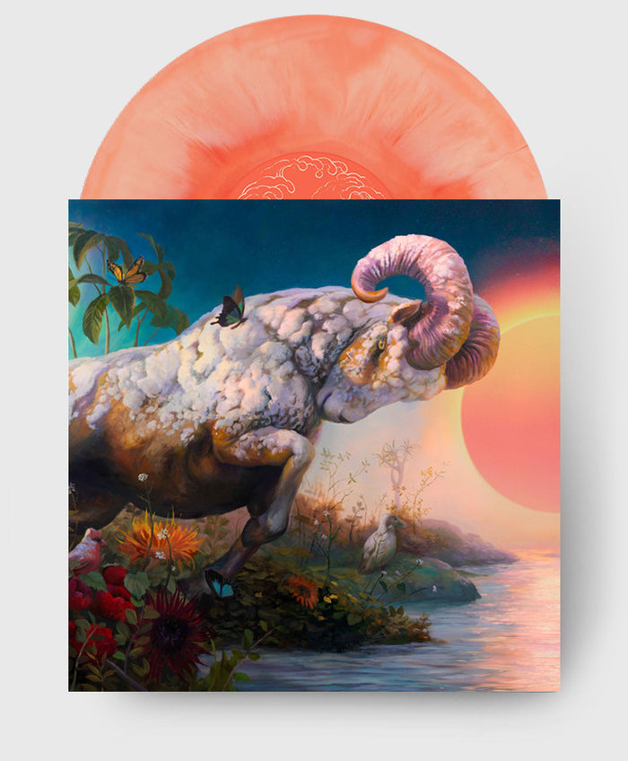 Sunbeam Swirl LP